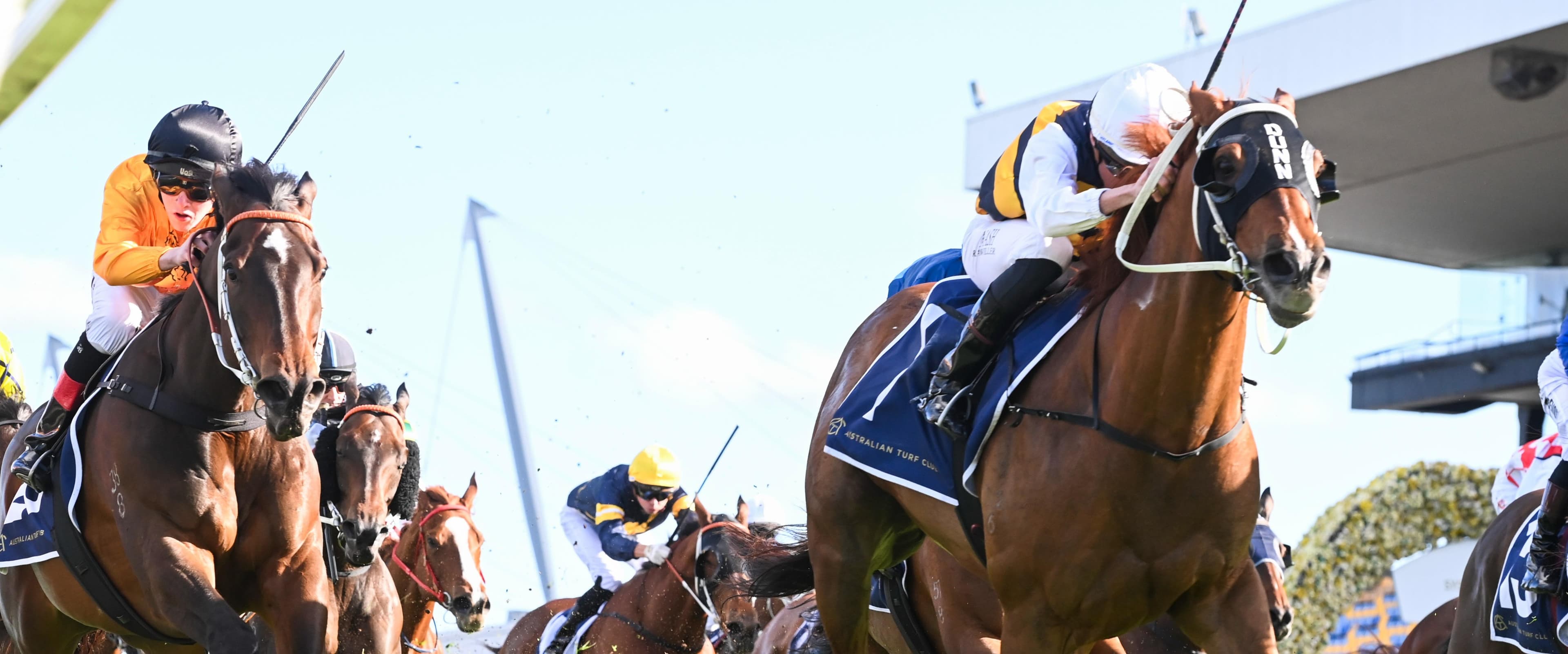 banner